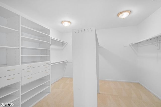 walk in closet featuring light carpet