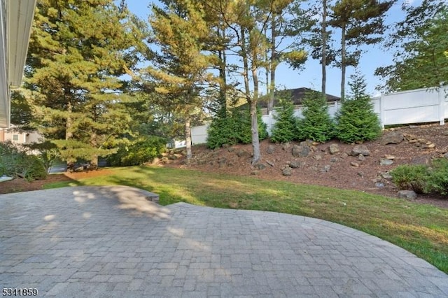 view of yard with a patio area