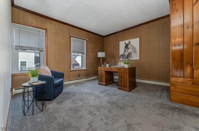 office area featuring carpet, ornamental molding, baseboard heating, and baseboards