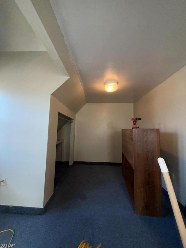 additional living space with lofted ceiling and carpet