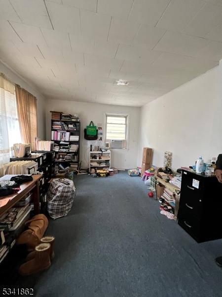 miscellaneous room featuring carpet