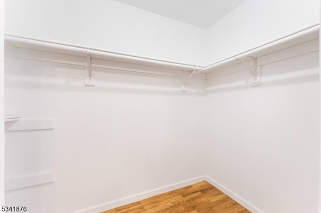 walk in closet featuring light wood finished floors