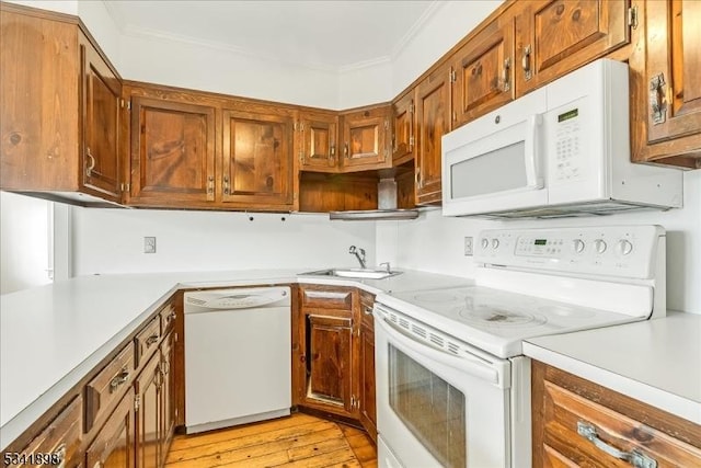 kitchen with light countertops, white appliances, a sink, and crown molding