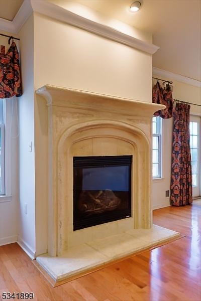 interior details featuring wood finished floors and a glass covered fireplace