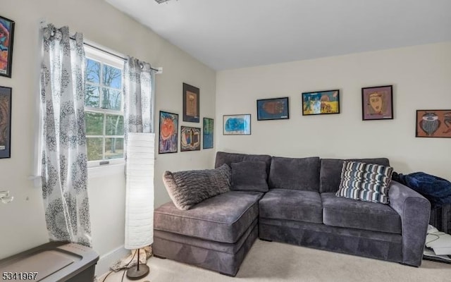 living room featuring carpet