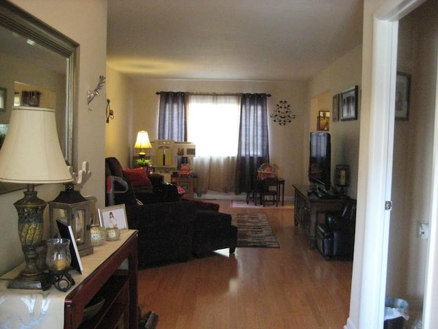 living area featuring wood finished floors