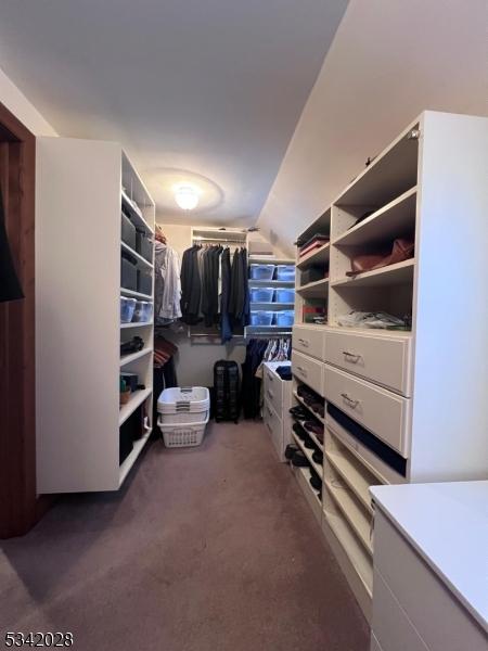 walk in closet with carpet flooring