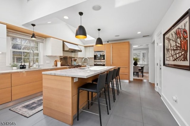 kitchen featuring under cabinet range hood, modern cabinets, backsplash, and a sink