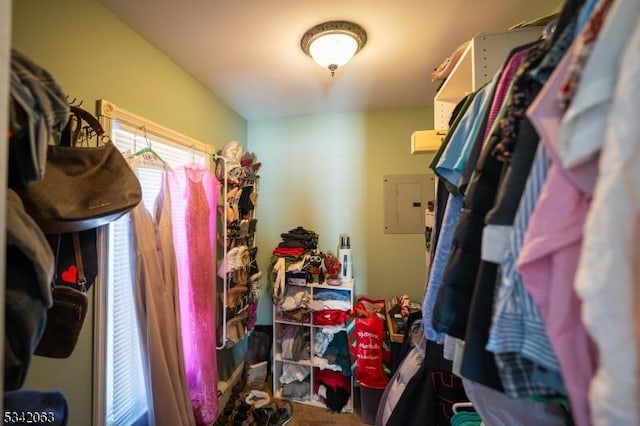 walk in closet featuring electric panel