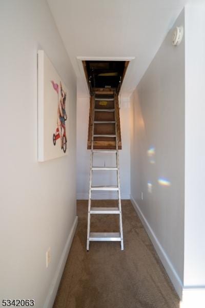 staircase with baseboards and carpet