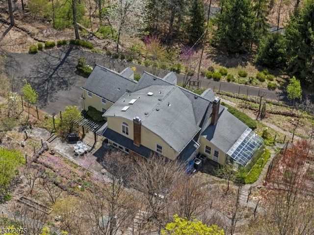 bird's eye view