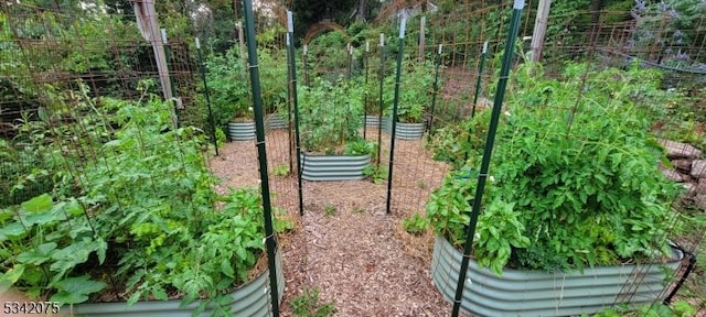 view of property's community featuring a vegetable garden
