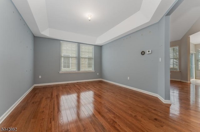 empty room featuring hardwood / wood-style flooring, baseboards, a tray ceiling, and a wealth of natural light