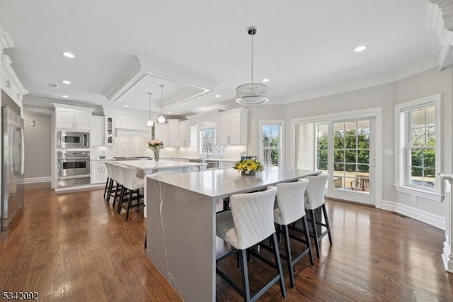 kitchen featuring stainless steel appliances, a large island, light countertops, and crown molding