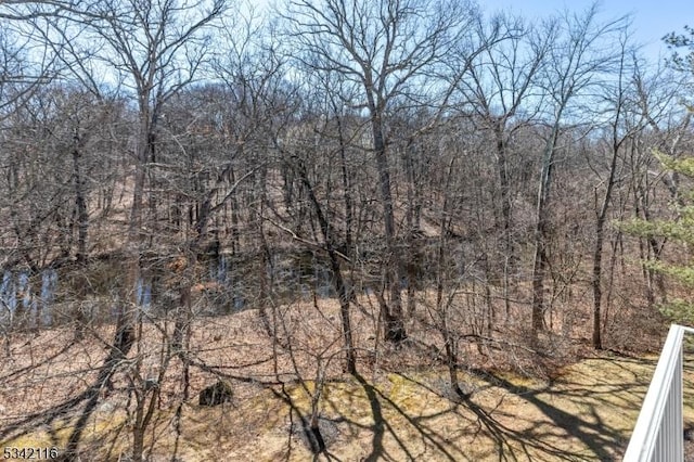 view of nature featuring a forest view