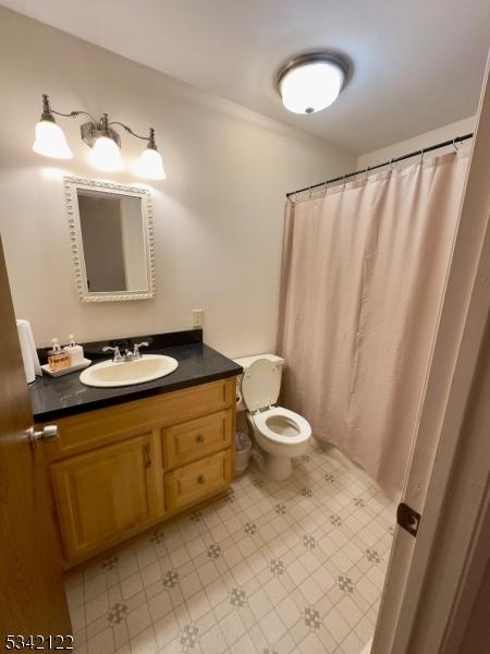 bathroom with toilet and vanity