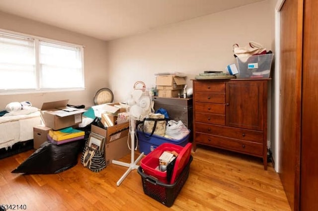 interior space with wood finished floors