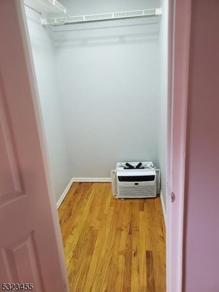 walk in closet with light wood finished floors