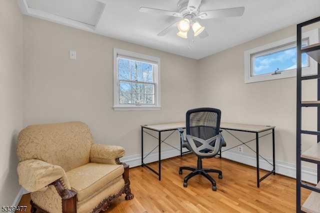 office space featuring attic access, a wealth of natural light, baseboards, and wood finished floors