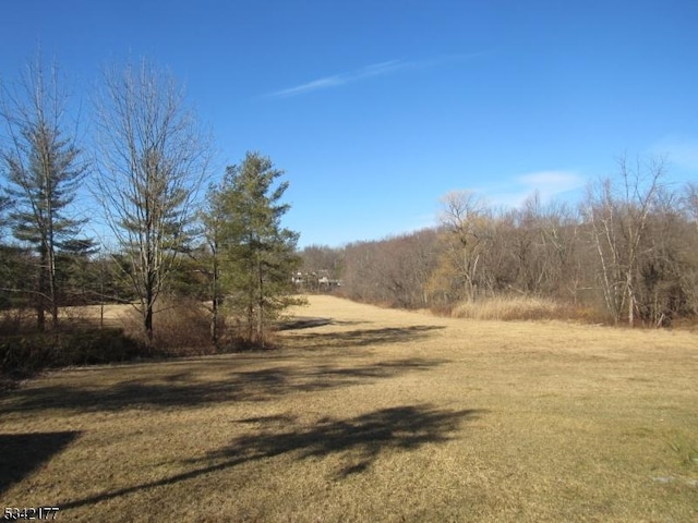 view of local wilderness