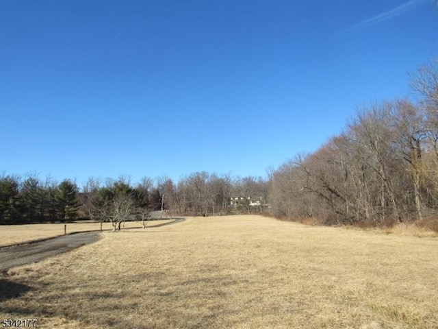 view of yard with a rural view