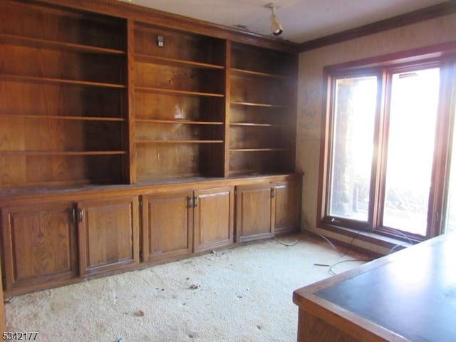 unfurnished living room with light colored carpet