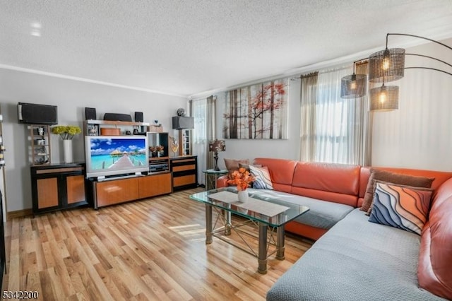 living area featuring a textured ceiling, plenty of natural light, and light wood-style floors