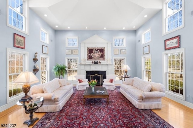 living area with a fireplace, a towering ceiling, and wood finished floors