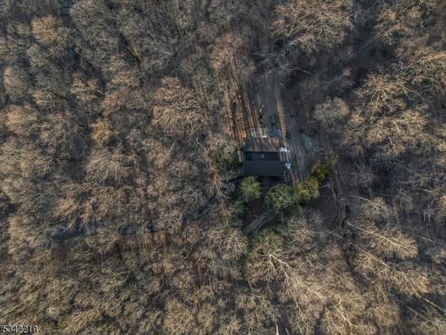 aerial view with a forest view