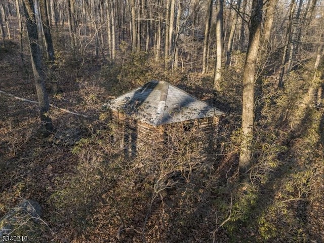 view of local wilderness with a view of trees