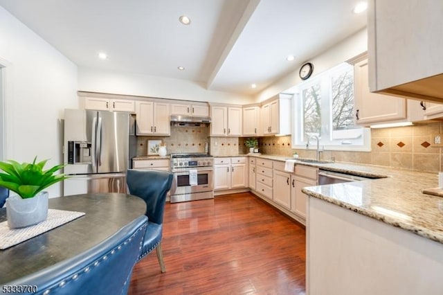 kitchen with decorative backsplash, light stone countertops, stainless steel appliances, under cabinet range hood, and a sink