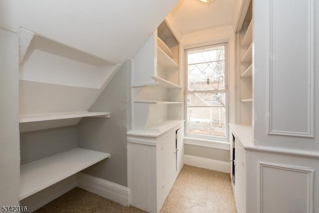 spacious closet with vaulted ceiling