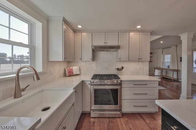 kitchen with high end stainless steel range oven, decorative backsplash, a sink, wood finished floors, and under cabinet range hood