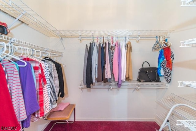 spacious closet with carpet floors