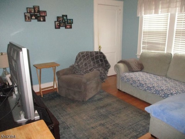 living area featuring wood finished floors