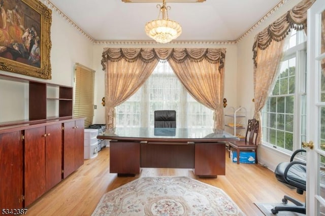 home office with a healthy amount of sunlight and light wood finished floors