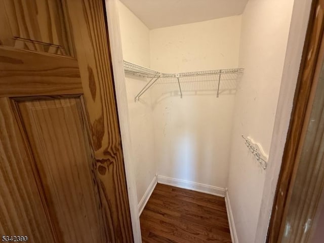 spacious closet featuring wood finished floors