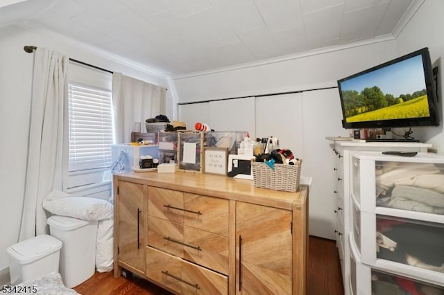 interior space with wood finished floors and ornamental molding