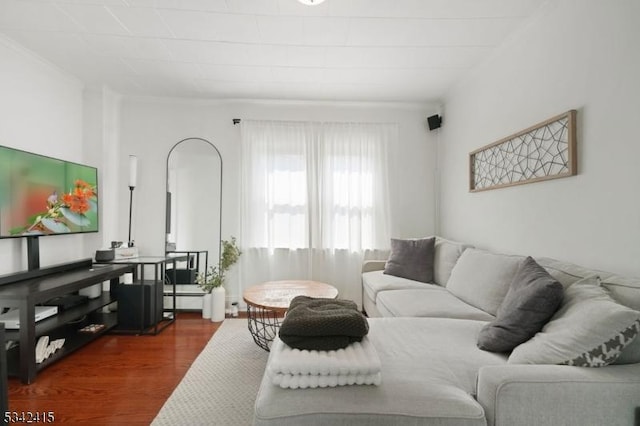 living area featuring dark wood-style flooring