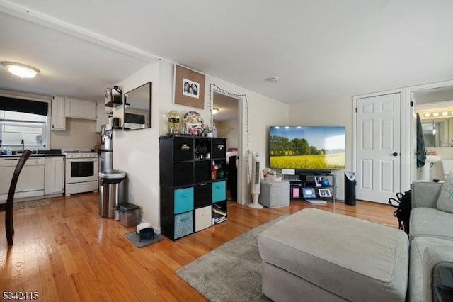 living room featuring light wood-type flooring