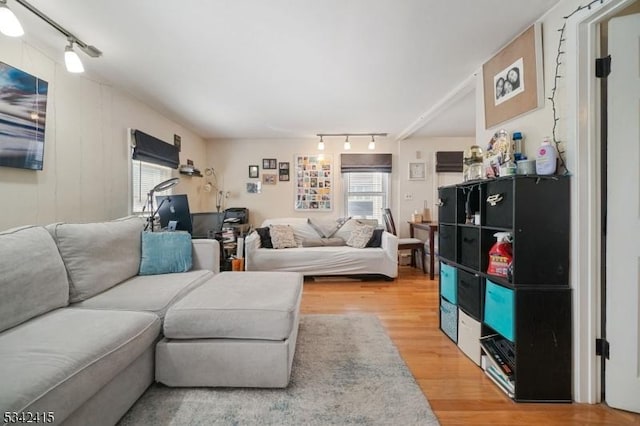 living room featuring track lighting, wood finished floors, and a healthy amount of sunlight