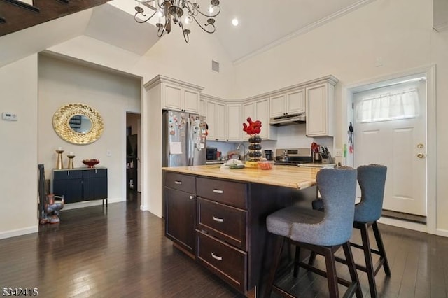 kitchen with a kitchen bar, high vaulted ceiling, under cabinet range hood, appliances with stainless steel finishes, and dark wood-style flooring