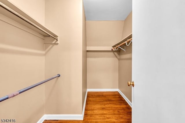 walk in closet featuring wood finished floors