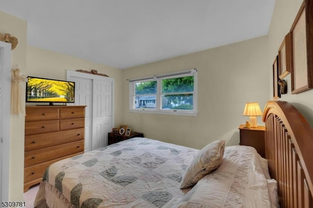 bedroom featuring a closet