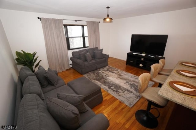 living room with wood finished floors