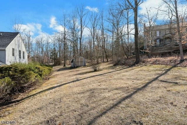 view of yard with a storage shed and an outbuilding