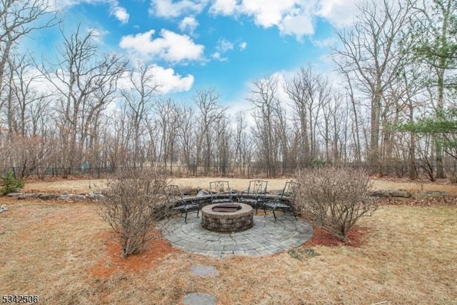 view of yard with a patio, a fire pit, and fence