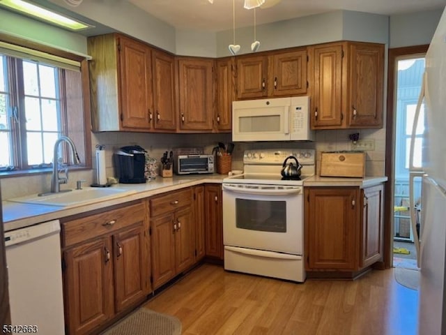 kitchen with light wood finished floors, white appliances, brown cabinetry, and a sink