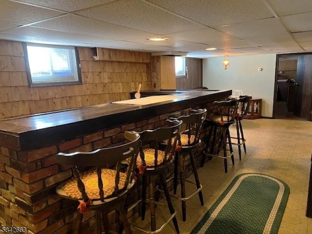 bar with a paneled ceiling, wooden walls, and a dry bar