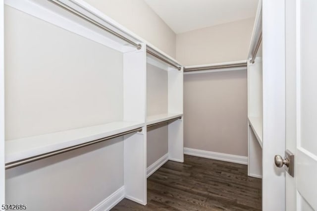 walk in closet with dark wood-style floors